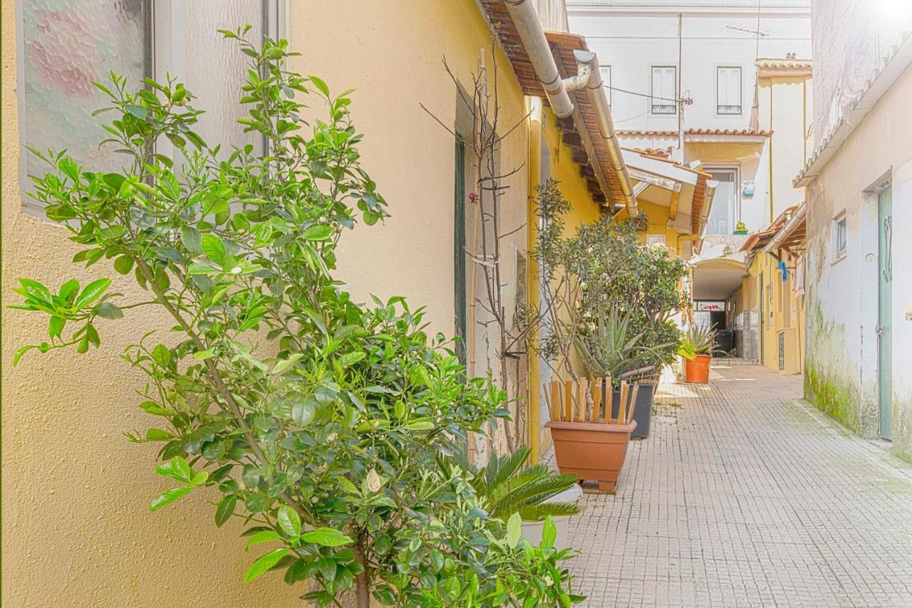 Cosy Duplex House In Downtown Lisboa别墅 外观 照片